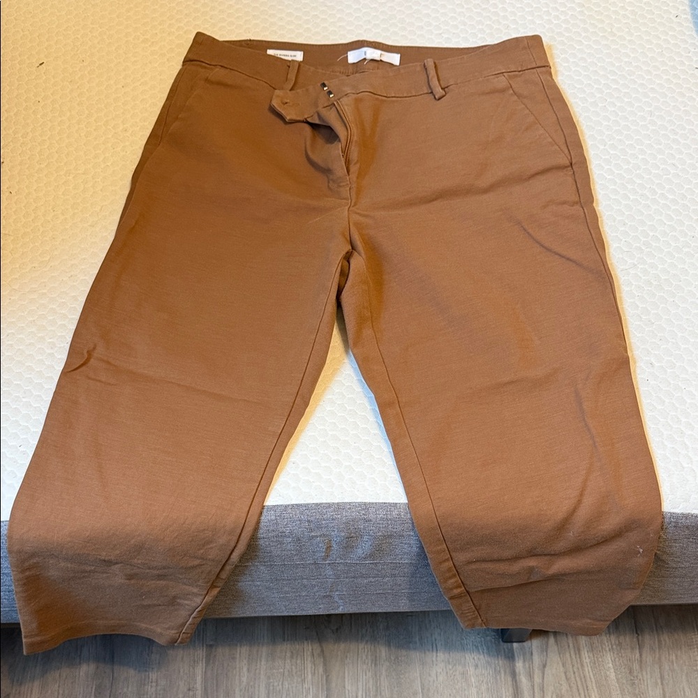 Loft Womans Brown Pants